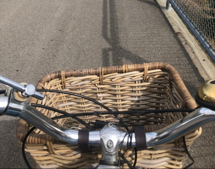 Bike and Basket